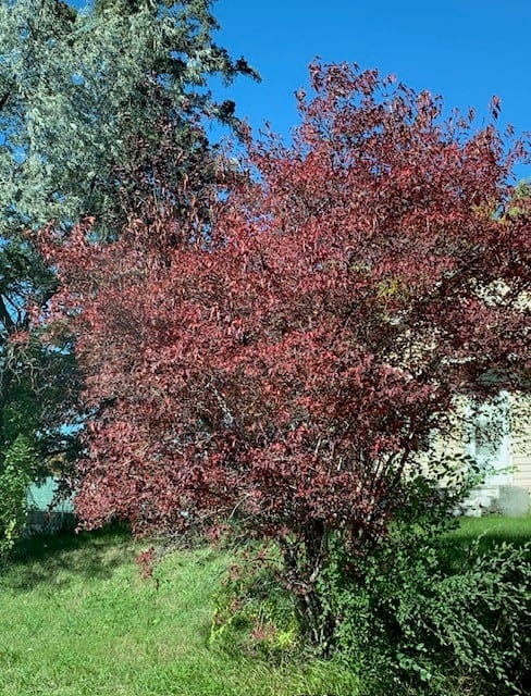 no12
